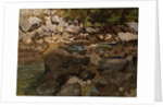 Mountain Stream with Boulders, 1888-1889 by Carl Schuch