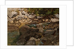 Mountain Stream with Boulders, 1888-1889 by Carl Schuch
