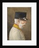 Portrait of Franz Joseph I of Austria by Moritz Ledeli