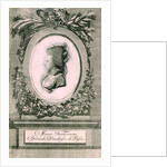 Portrait of Grand Duchess Maria Feodorovna (Sophie Dorothea of Württemberg), 1781 by Johann Hieronymus Loeschenkohl