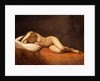 Resting Model, 1839 by Constantin Hansen