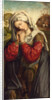The Mourning Mary Magdalene, c. 1500 by Colijn De Coter