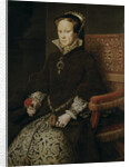Portrait of Mary I of England, 1554 by Antonis Mor