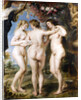 The Three Graces by Pieter Paul Rubens