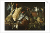 Still Life with Games and Vegetables, 1648 by Adriaen Van Utrecht