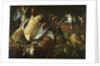 Still Life with Games and Vegetables, 1648 by Adriaen Van Utrecht