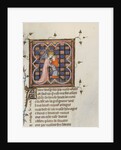 Miniature from a manuscript of the Roman de la Rose by Guillaume de Lorris and Jean de Meun, 1353 by Master of the Rose novels