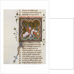 Miniature from a manuscript of the Roman de la Rose by Guillaume de Lorris and Jean de Meun, 1353 by Master of the Rose novels
