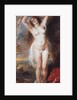 Perseus Freeing Andromeda, 1638 by Pieter Paul Rubens
