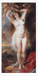 Perseus Freeing Andromeda, 1638 by Pieter Paul Rubens