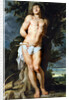 Saint Sebastian by Pieter Paul Rubens