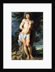 Saint Sebastian by Pieter Paul Rubens