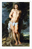 Saint Sebastian by Pieter Paul Rubens