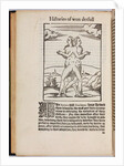 A collection of extraordinary stories (Histoires prodigieuses), 1560 by Pierre Boaistuau