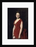 Portrait of Countess Anna Alexandrovna Obolenskaya, 1887 by Charles Émile Auguste Carolus-Duran