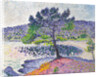 Beach, Evening Effect, 1902 by Henri Edmond Cross