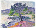 Beach, Evening Effect, 1902 by Henri Edmond Cross