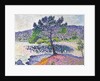 Beach, Evening Effect, 1902 by Henri Edmond Cross