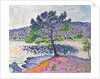 Beach, Evening Effect, 1902 by Henri Edmond Cross