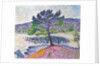 Beach, Evening Effect, 1902 by Henri Edmond Cross