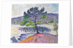 Beach, Evening Effect, 1902 by Henri Edmond Cross