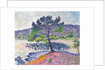 Beach, Evening Effect, 1902 by Henri Edmond Cross