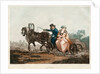 Sledge driving, 1830-1840s by Michel François Damam-Demartrait