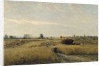 The Harvest, 1851 by Charles-François Daubigny