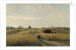 The Harvest, 1851 by Charles-François Daubigny