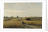 The Harvest, 1851 by Charles-François Daubigny