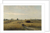 The Harvest, 1851 by Charles-François Daubigny