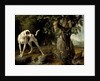 Landscape with a Dog and Partridges, 1719 by Alexandre François Desportes