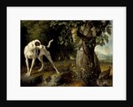 Landscape with a Dog and Partridges, 1719 by Alexandre François Desportes