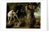 Landscape with a Dog and Partridges, 1719 by Alexandre François Desportes