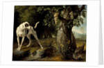 Landscape with a Dog and Partridges, 1719 by Alexandre François Desportes