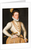 Portrait of an unknown French Nobleman, 1560 by French master