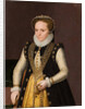 Portrait of an unknown French Noblewoman, 1560 by French master