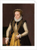 Portrait of an unknown French Noblewoman, 1560 by French master