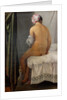 The Valpinçon Bather (La Grande Baigneuse), 1808 by Jean Auguste Dominique Ingres