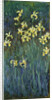 Yellow Irises, 1914-1917 by Claude Monet