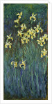 Yellow Irises, 1914-1917 by Claude Monet