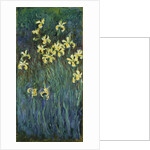 Yellow Irises, 1914-1917 by Claude Monet