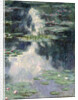 Pond with Water Lilies, 1907 by Claude Monet