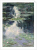 Pond with Water Lilies, 1907 by Claude Monet