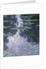 Water Lilies (Nymphéas), 1907 by Claude Monet