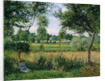 Morning Sunlight Effect, Eragny, 1899 by Camille Pissarro