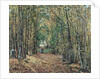 The Woods at Marly by Camille Pissarro