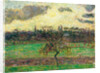 The Meadows at Éragny, Apple Tree, 1894 by Camille Pissarro