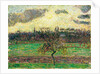 The Meadows at Éragny, Apple Tree, 1894 by Camille Pissarro