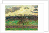 The Meadows at Éragny, Apple Tree, 1894 by Camille Pissarro